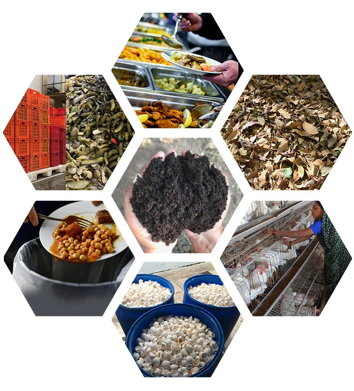 Organic waste treatment