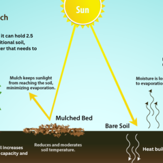 GrowMix – For House Plants & Ornamentals - Pack of 4 Compressed Discs
